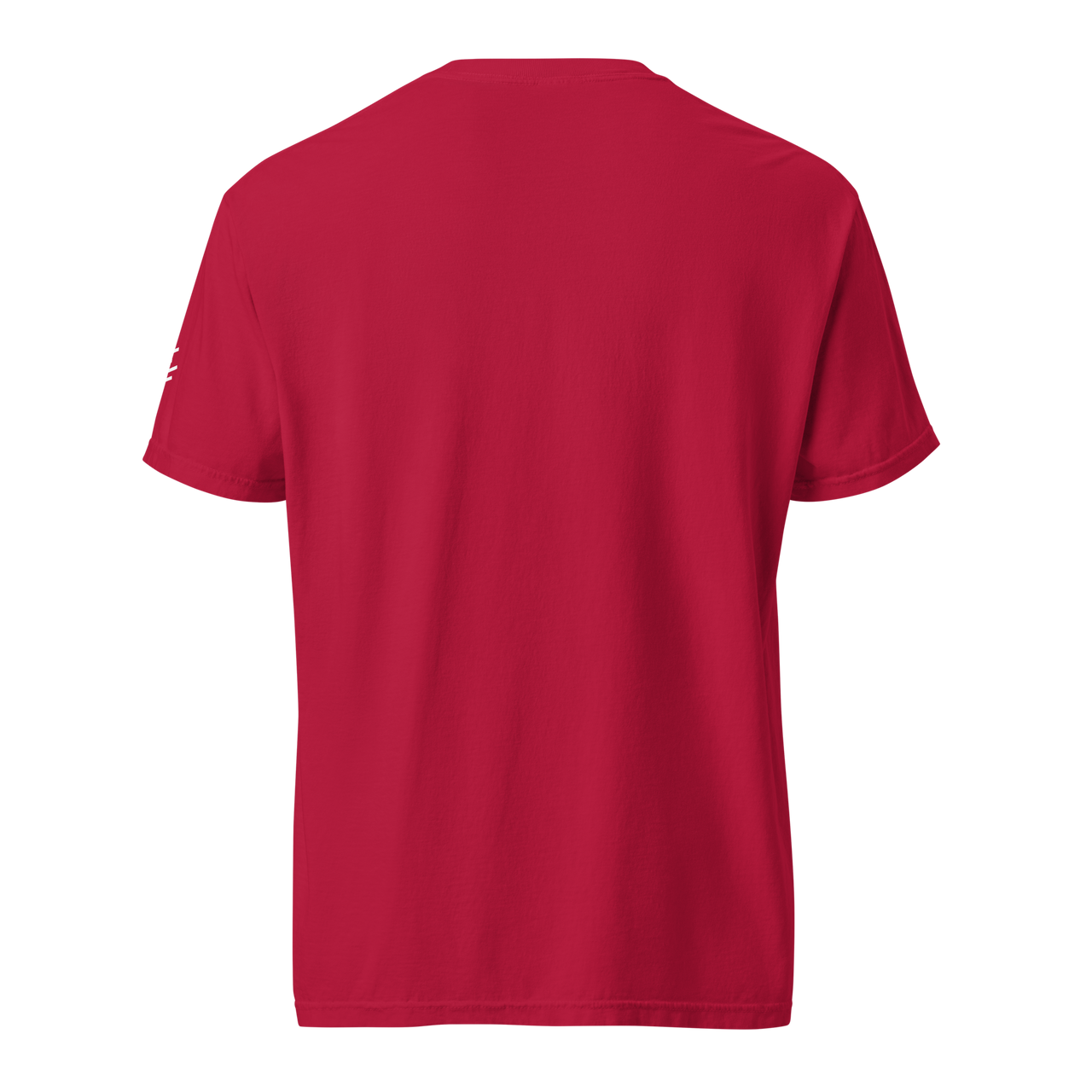 Premium T-Shirt (College)