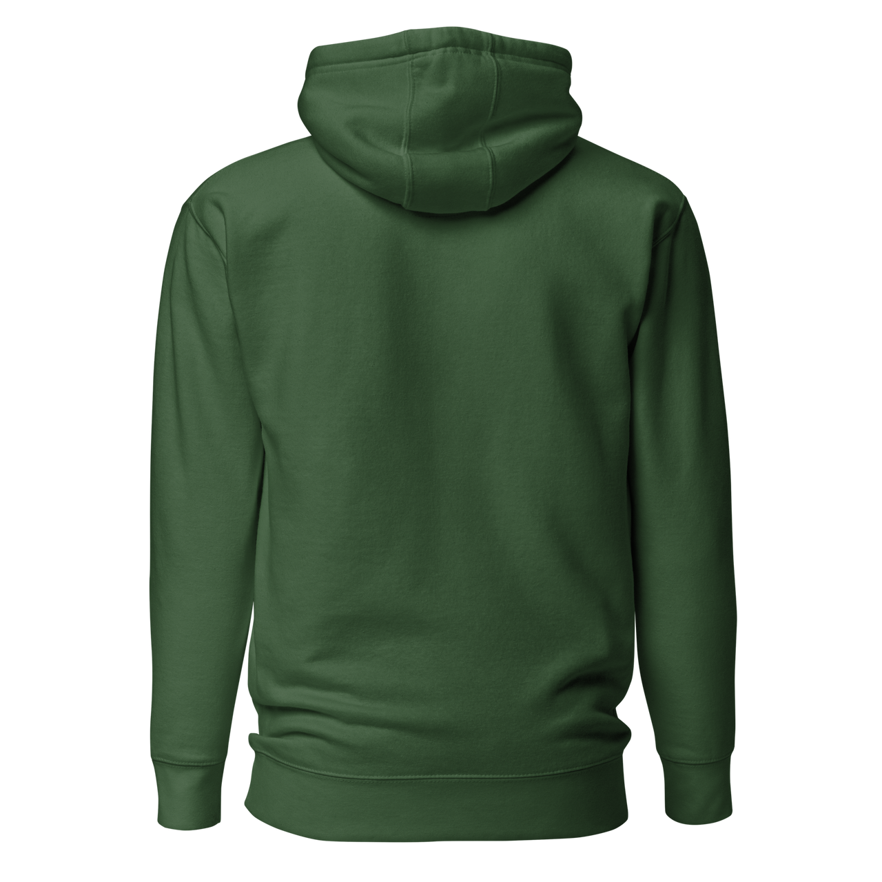 Premium Hoodie (Everchill-Türkis)