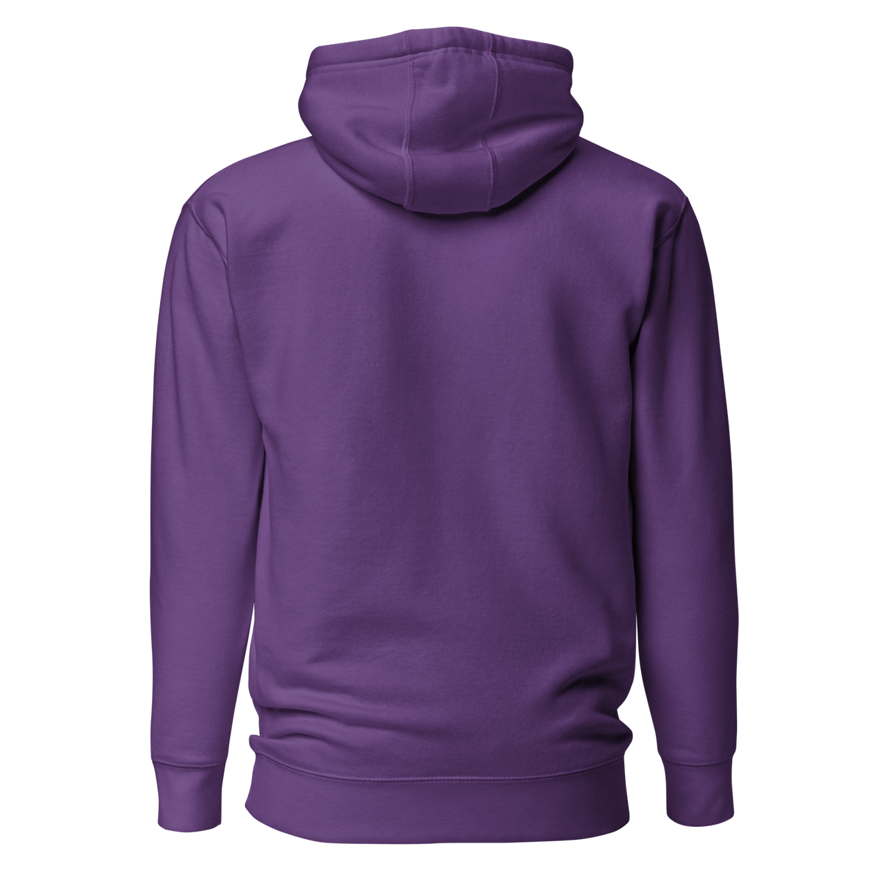 Premium Hoodie (Everchill-Türkis)